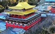 -塔尔德拉似被动事实充满无奈