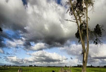 开云体育在线-西藏男篮在比赛中奋力一搏，不负众望的简单介绍