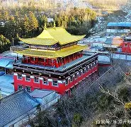 塔尔德拉似被动事实充满无奈