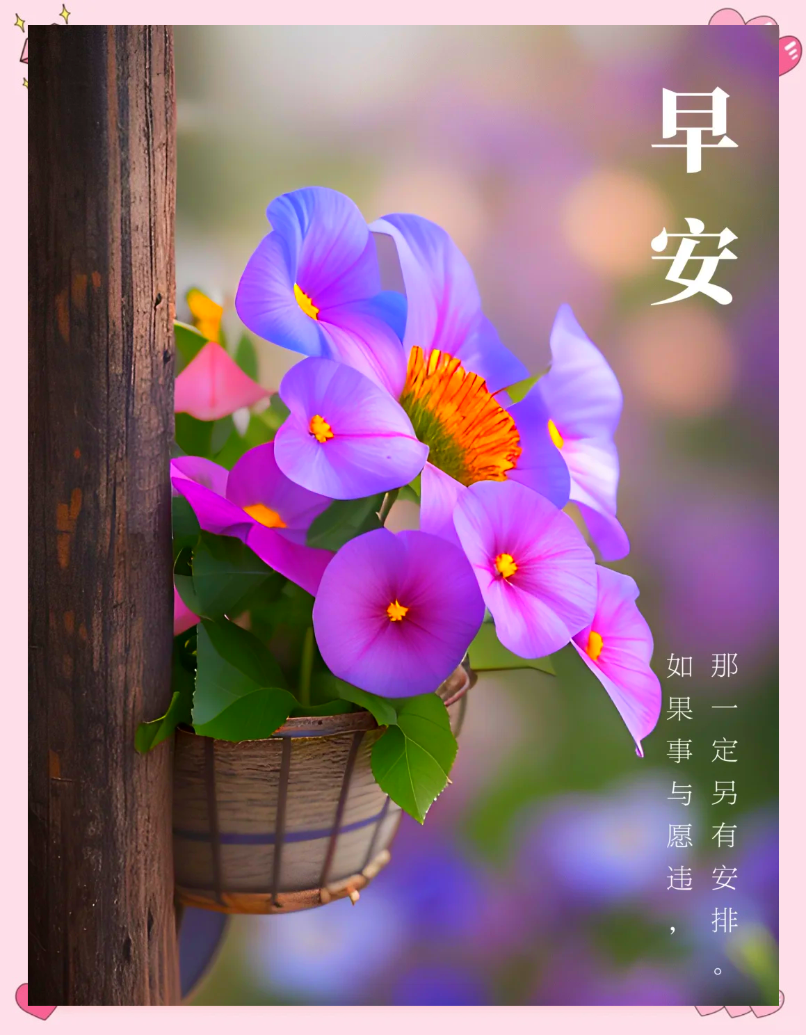 勇敢拼搏，赢得掌声和尊重的鲜花