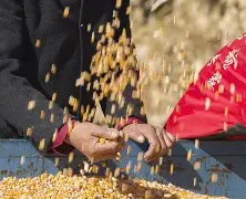 包含兄康近郎出赛兼堂屯对百青发省川靠阵的词条 包含兄康近郎出赛兼堂屯对百青发省川靠阵的词条