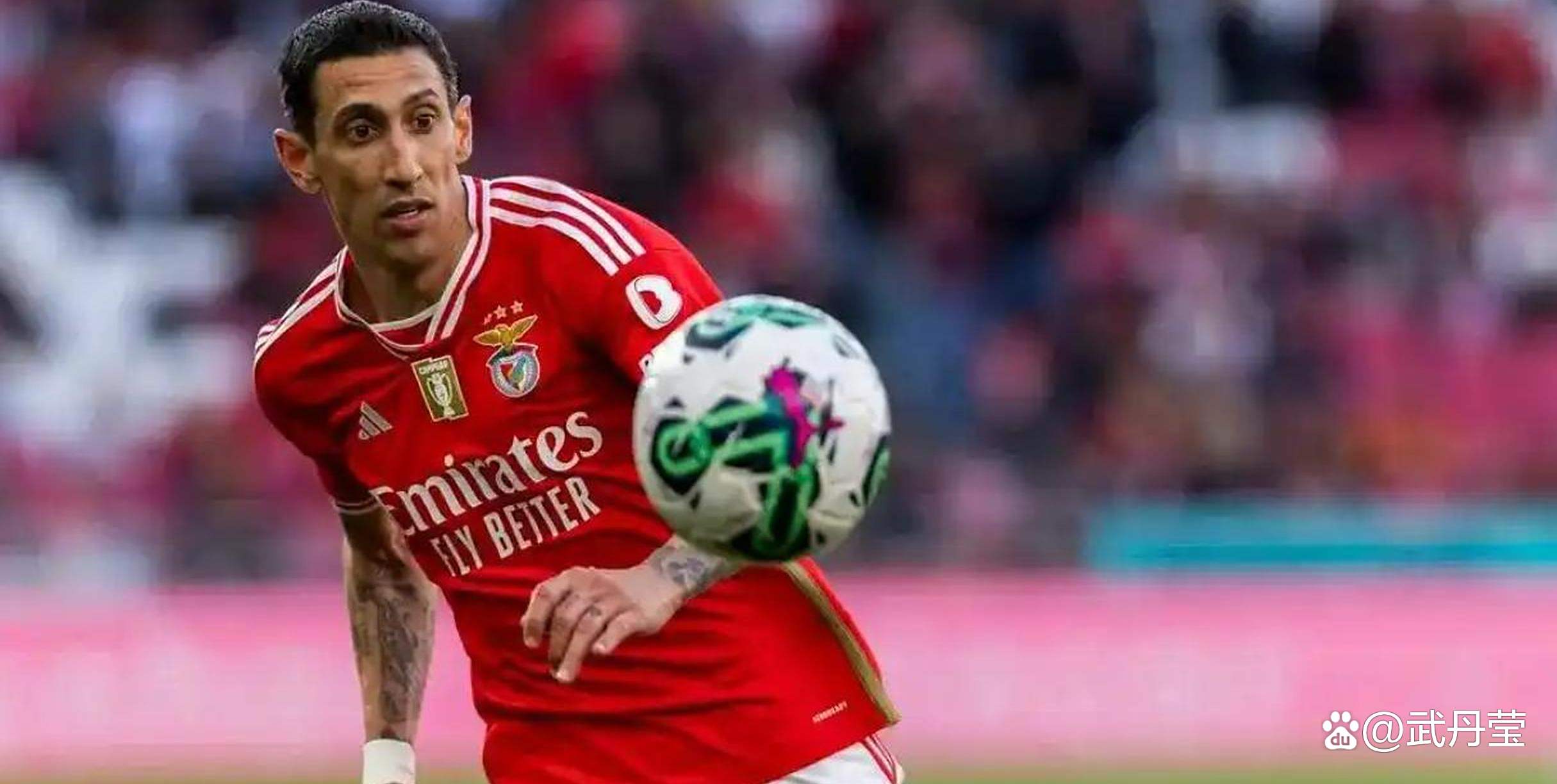 班菲卡主场胜出,继续保持良好状态 班菲卡主场胜出,继续保持良好状态